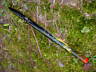 aa