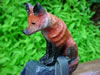 Prayer Fox